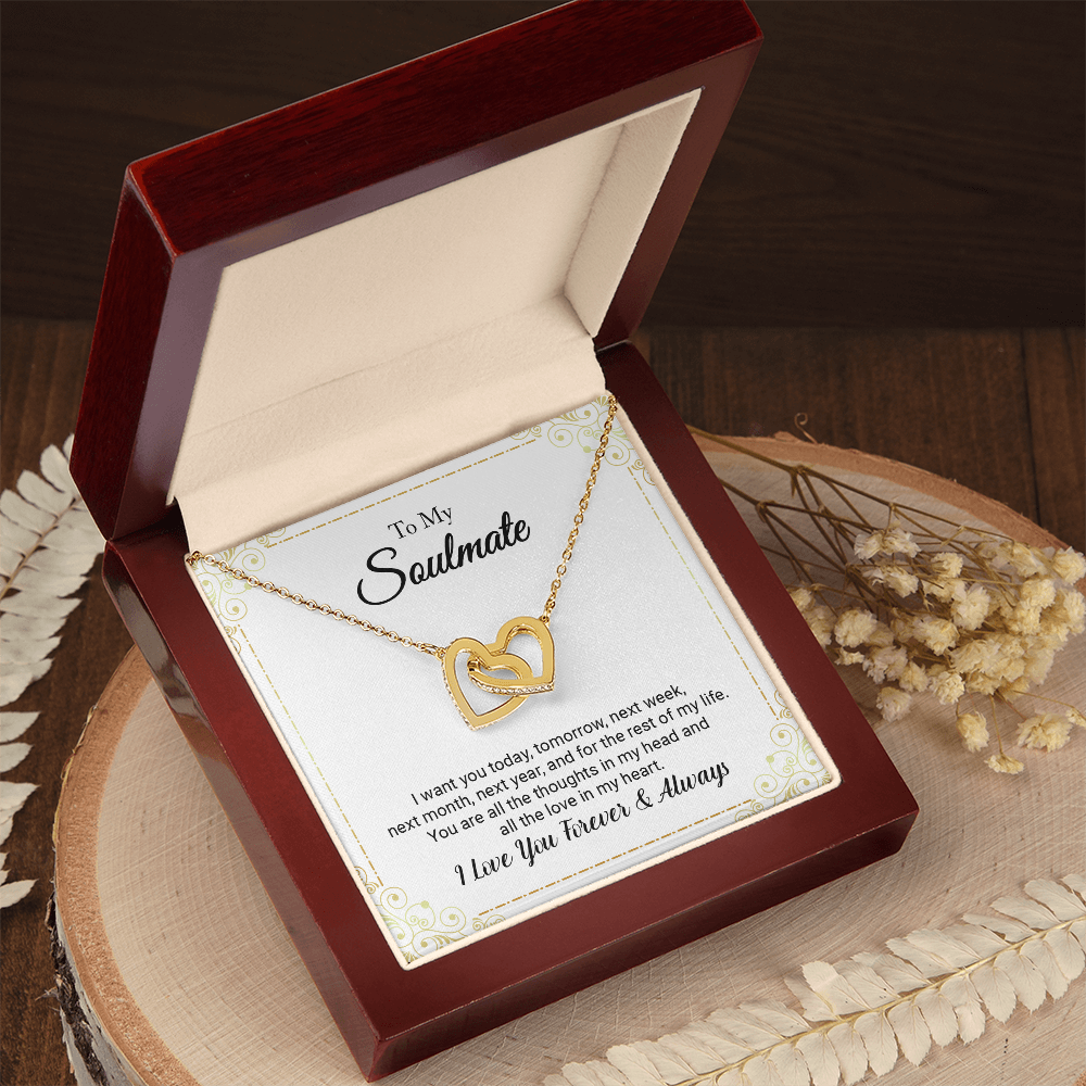 To My Soulmate - I Love You Forever (Interlocking Hearts Necklace Set)
