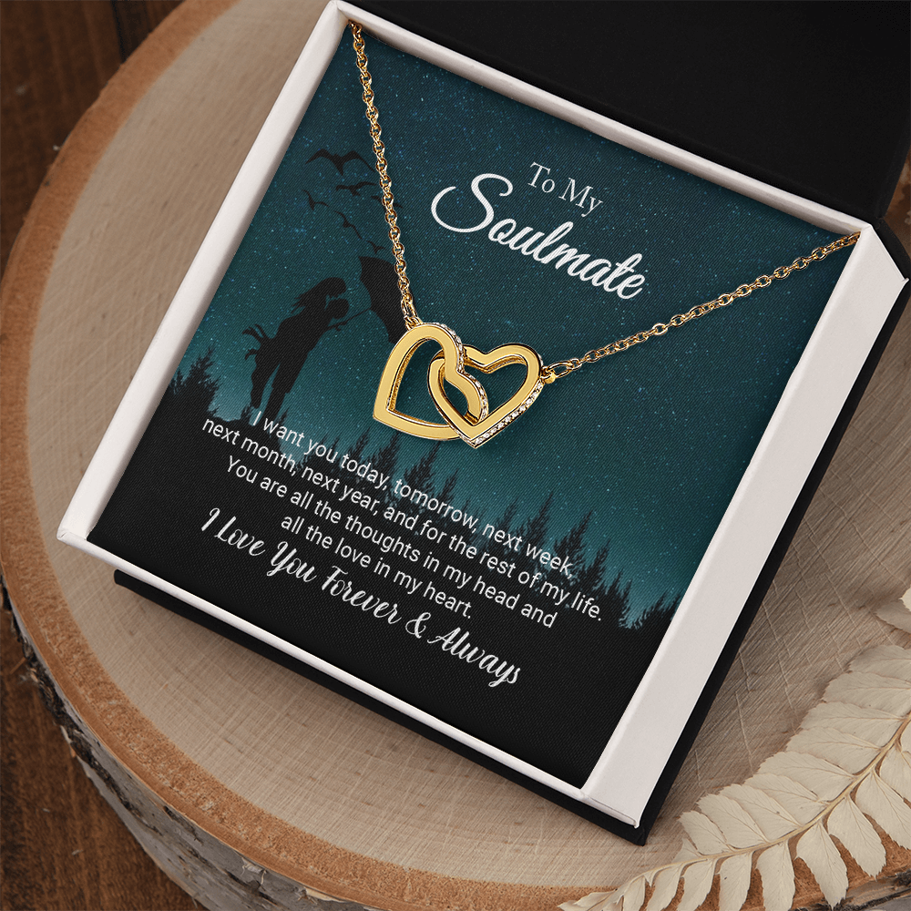 To My Soulmate - I Love You Forever; Interlocking Hearts Necklace Set (Love Under the Umbrella)