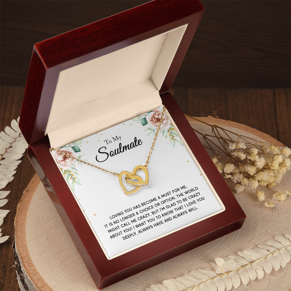 To My Soulmate - Interlocking Hearts Necklace Set