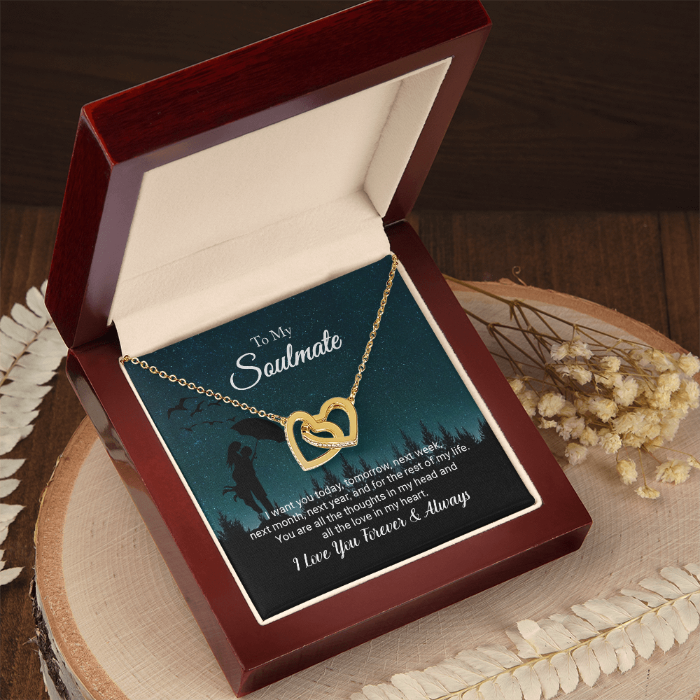 To My Soulmate - I Love You Forever; Interlocking Hearts Necklace Set (Love Under the Umbrella)